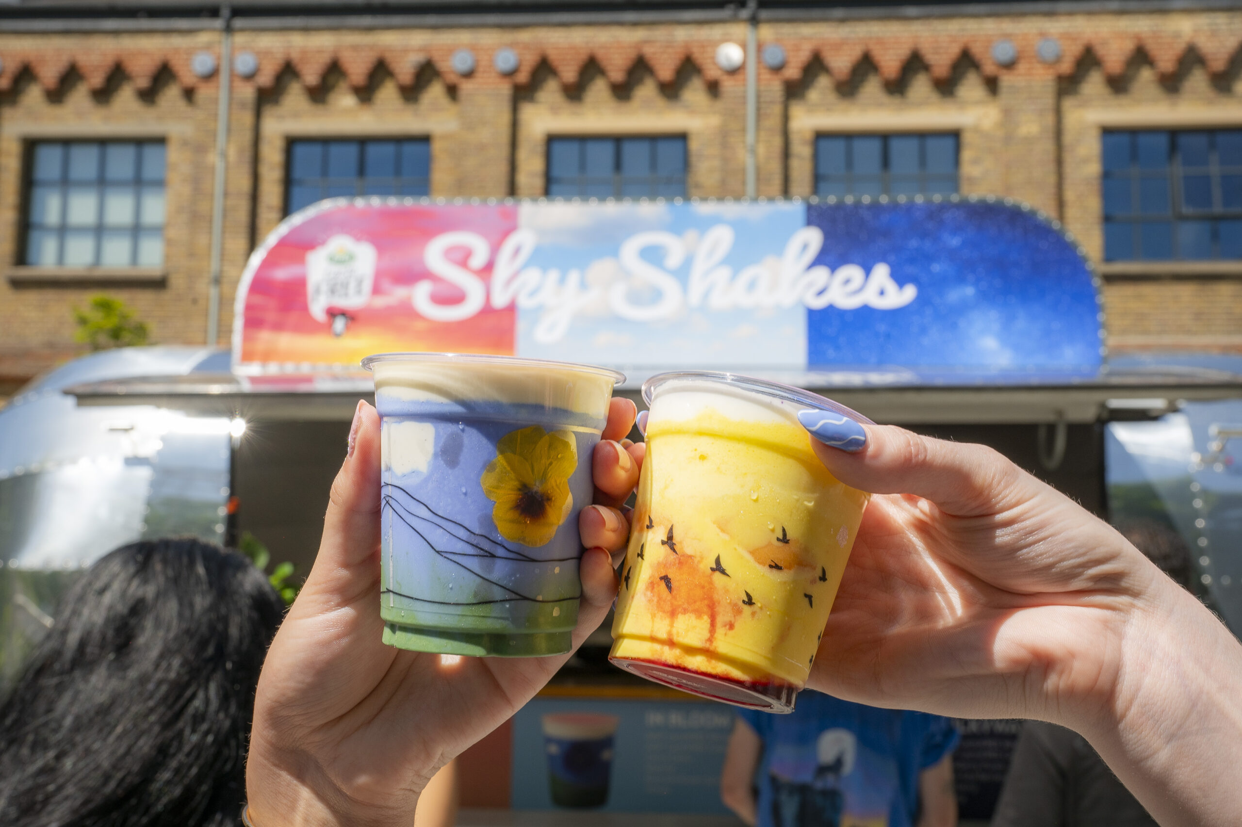 Sky Shakes